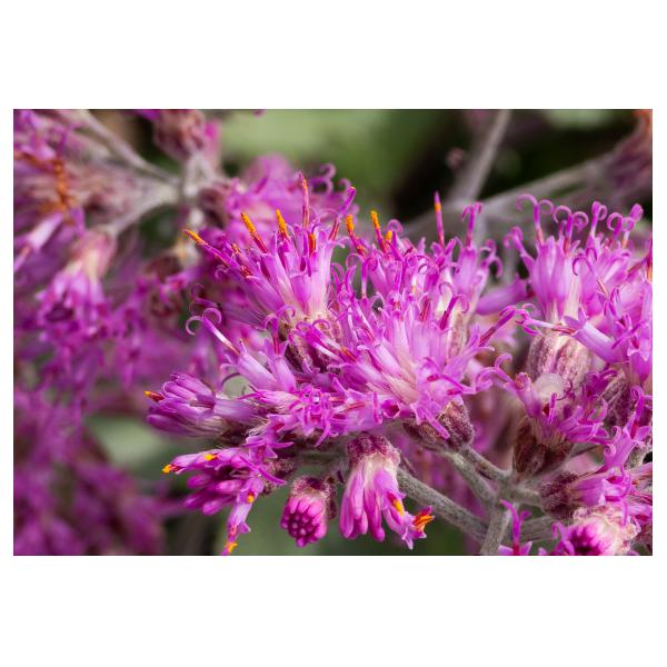 PHOTO84, CLUB, 84 , LUBERON